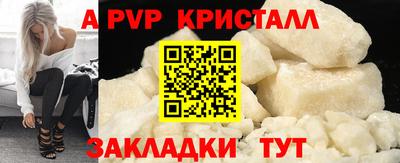 прущие грибы Новозыбков