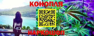 прущие грибы Новозыбков