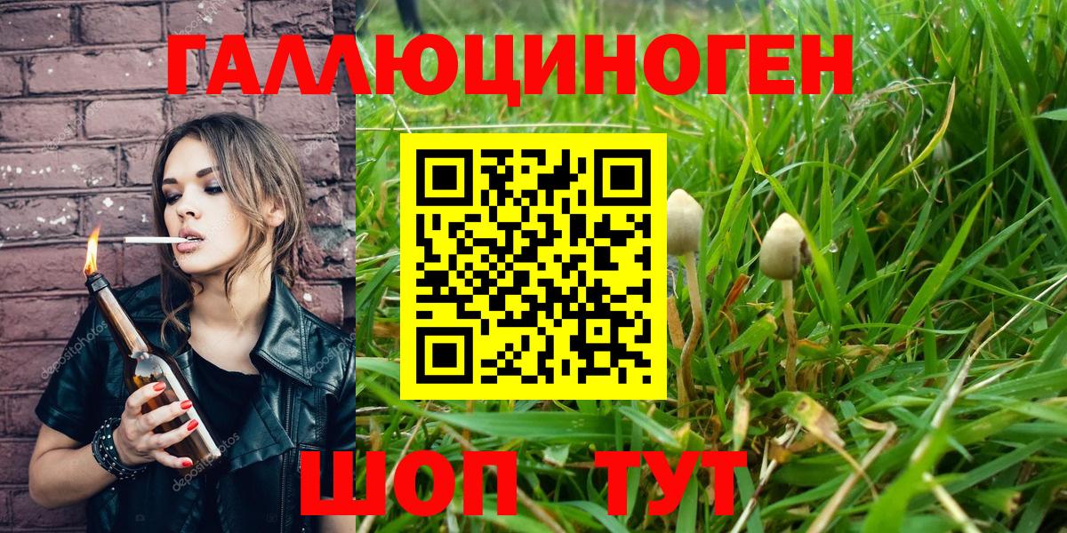Галлюциногенные грибы Magic Shrooms  Вход с VPN  Шали  Псилоцибиновые грибы мухоморы 